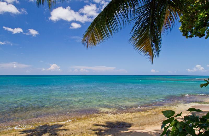 Tres Palmas Inn And Villas Rincon Kültér fotó