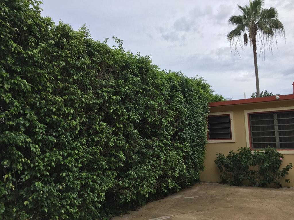 Tres Palmas Inn And Villas Rincon Kültér fotó